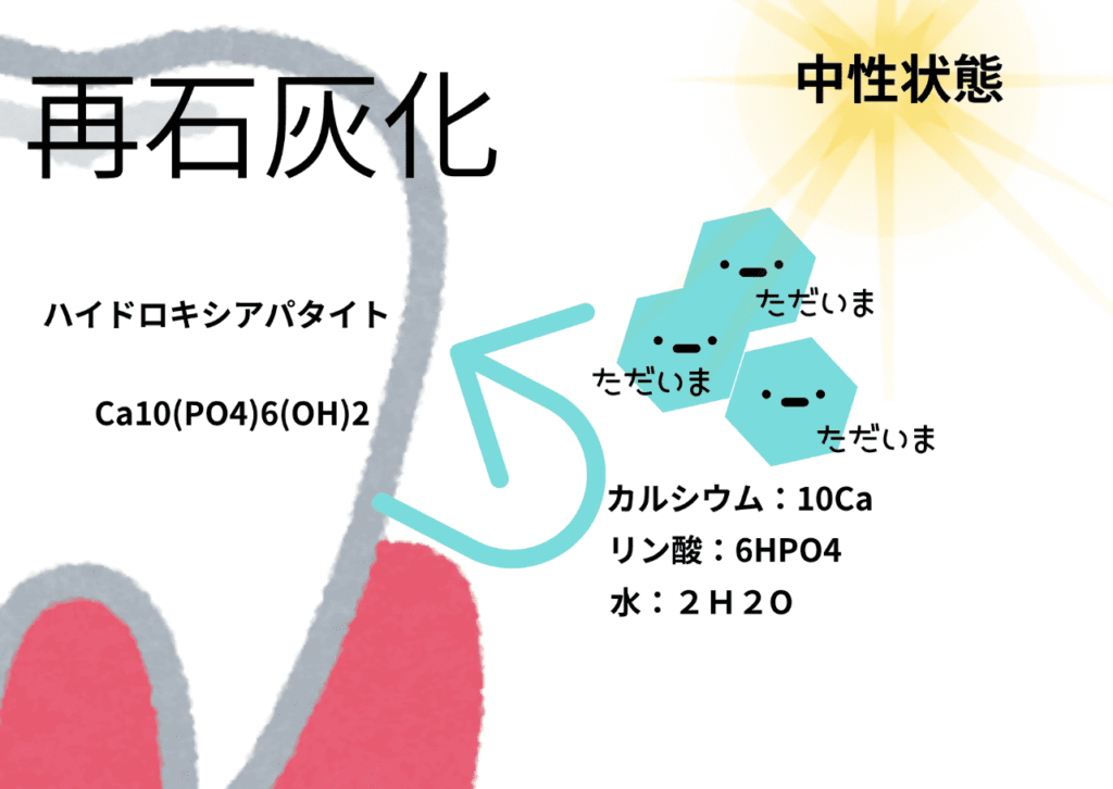 再石灰化のイメージ
