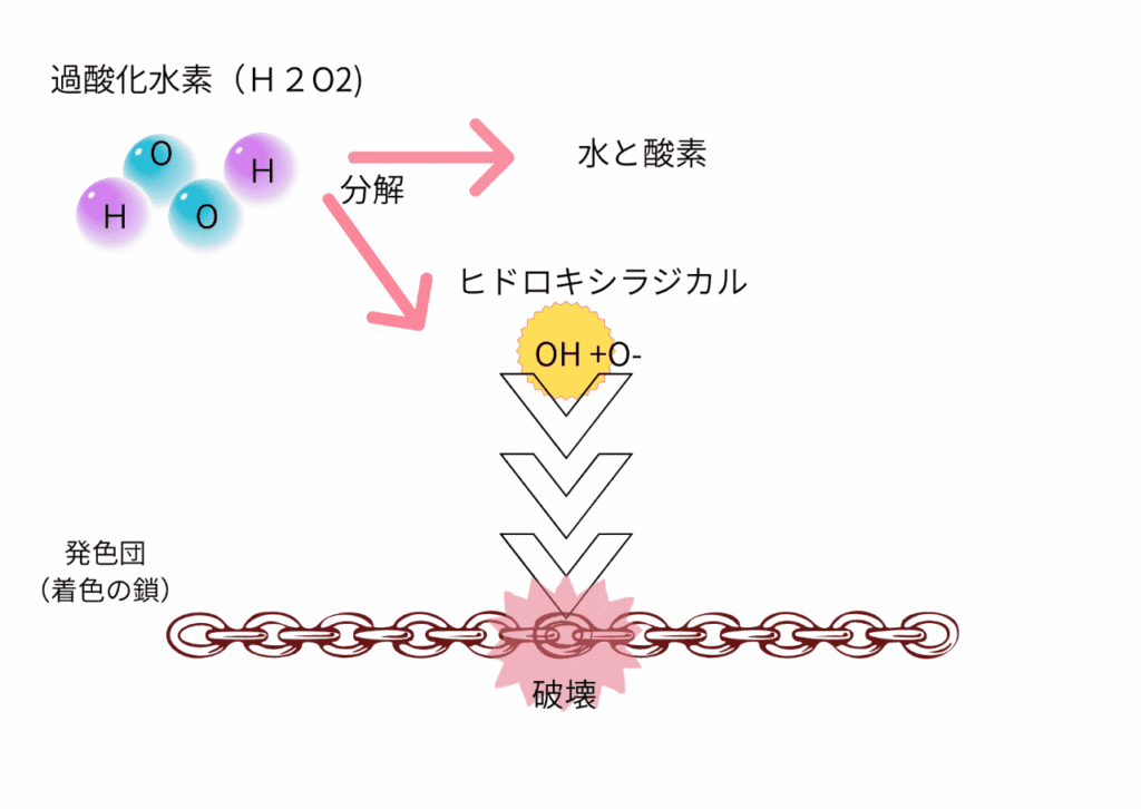 ホワイトニングのメカニズム
